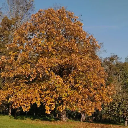 Penzion L'atelier 3*