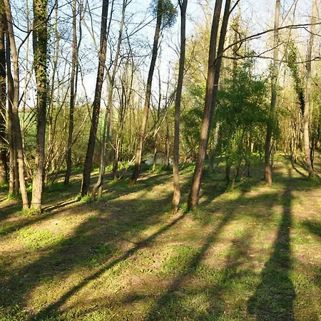 L'atelier Πανσιόν