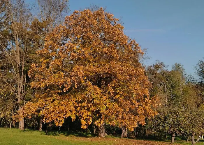 Affittacamere L'atelier 3*