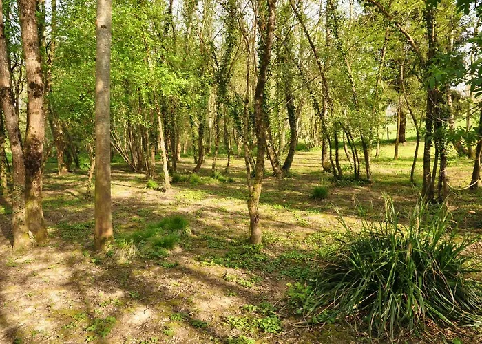 L'atelier 3* Sainte-Marie-du-Lac-Nuisement