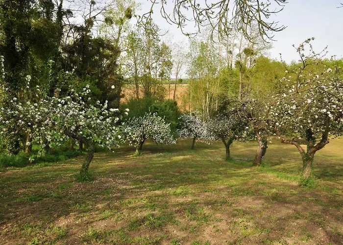 Affittacamere L'atelier Sainte-Marie-du-Lac-Nuisement